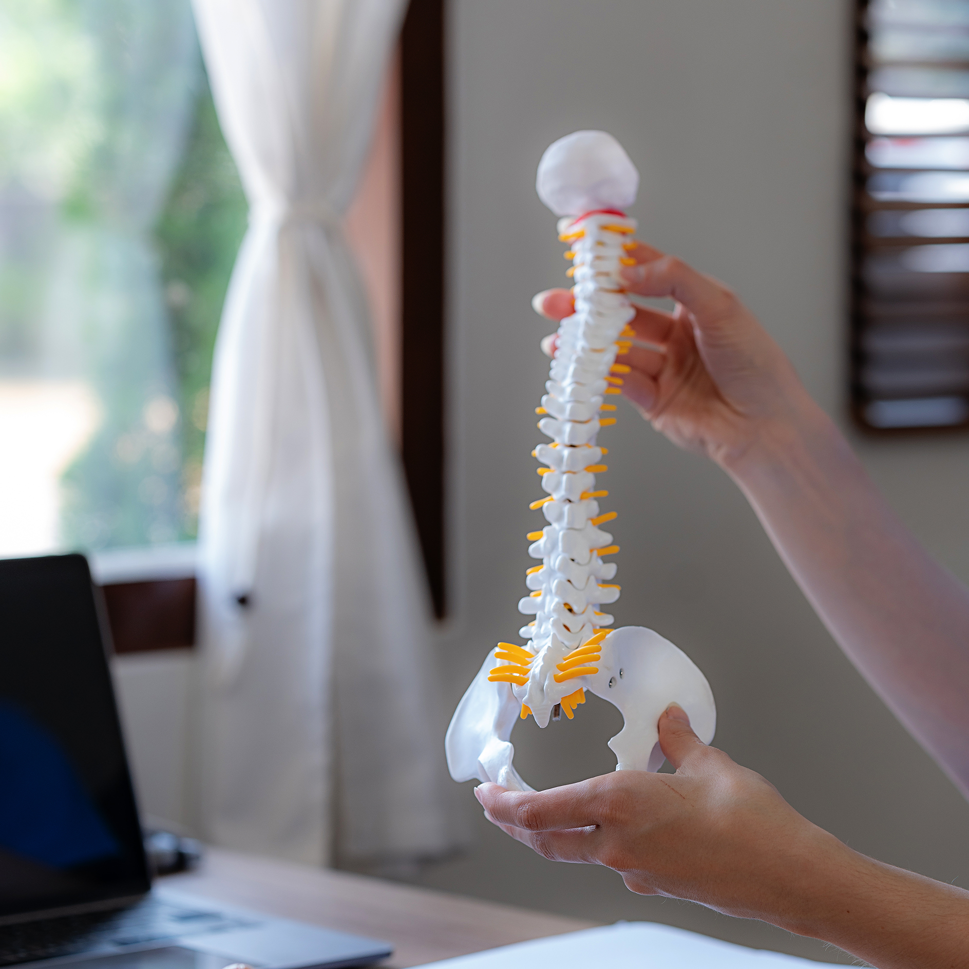 Female doctor explaining treatment method and holding human spin Holding a spine model