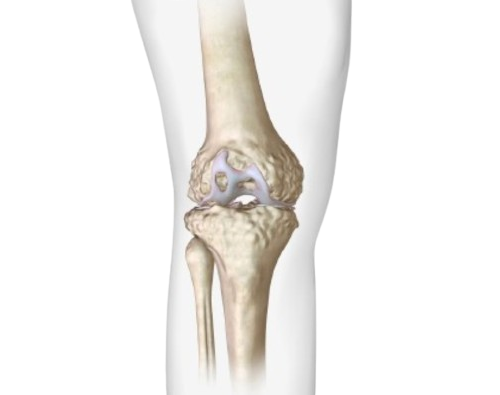 Best Joints Pain Relief Clinic In Near me